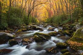 Nature Photography